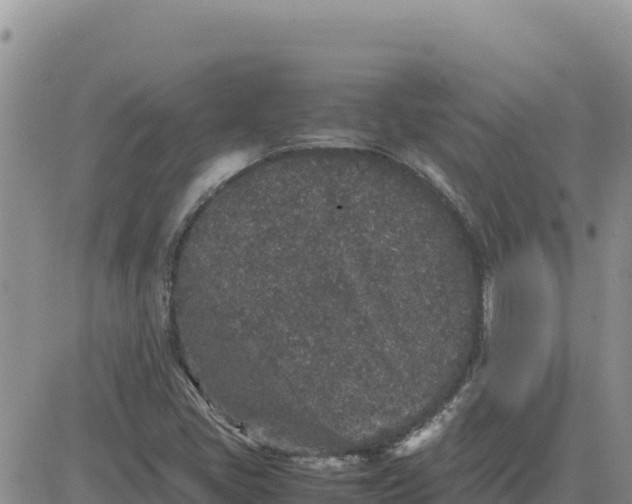 X0000080681405200612301413