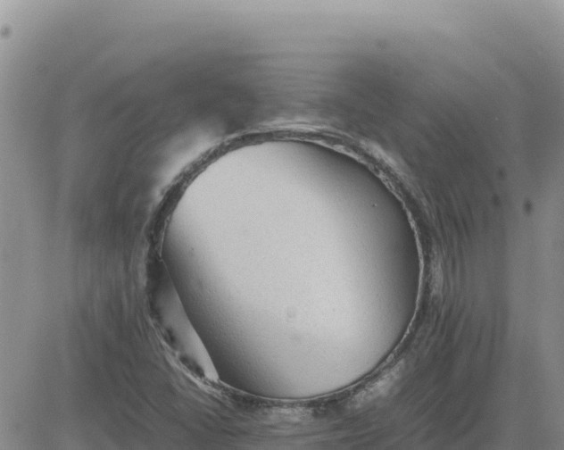 X0000080681406200612301413