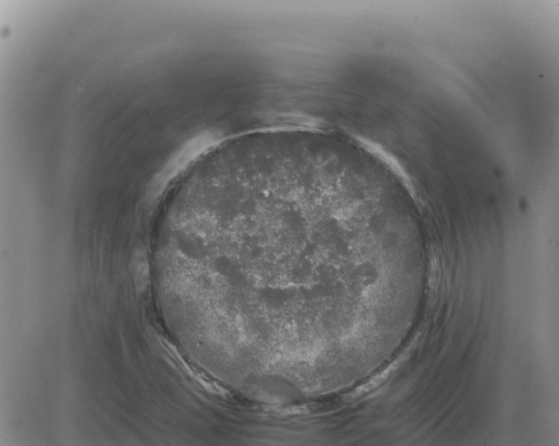 X0000080681407200612301413