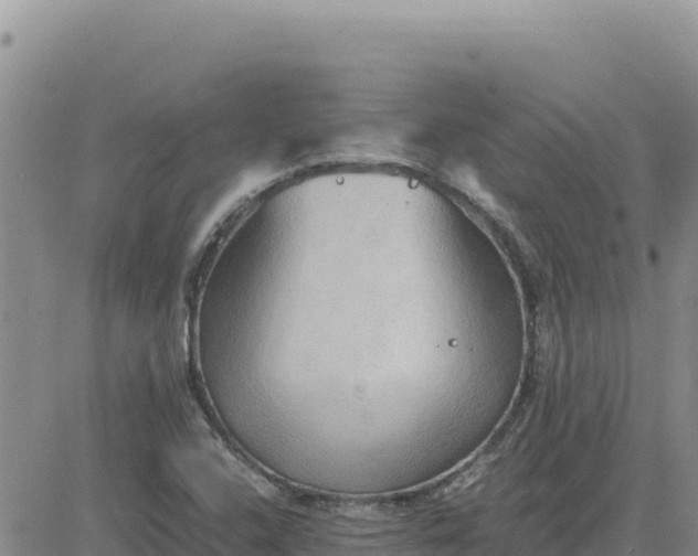 X0000080681408200612301413