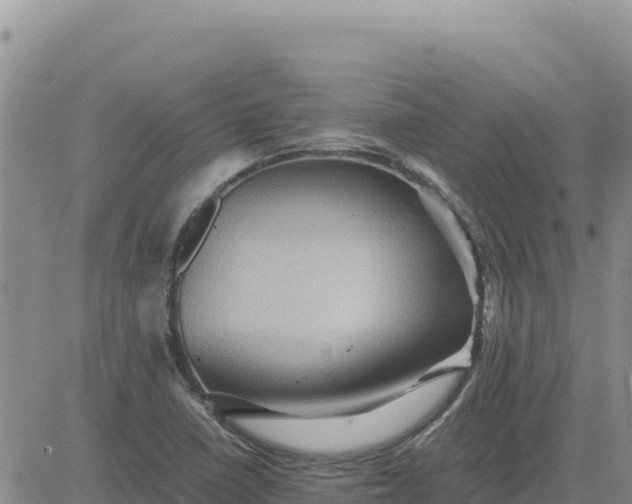 X0000080681410200612301413