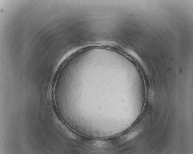 X0000080681412200612301413