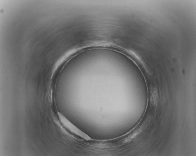 X0000080681414200612301413