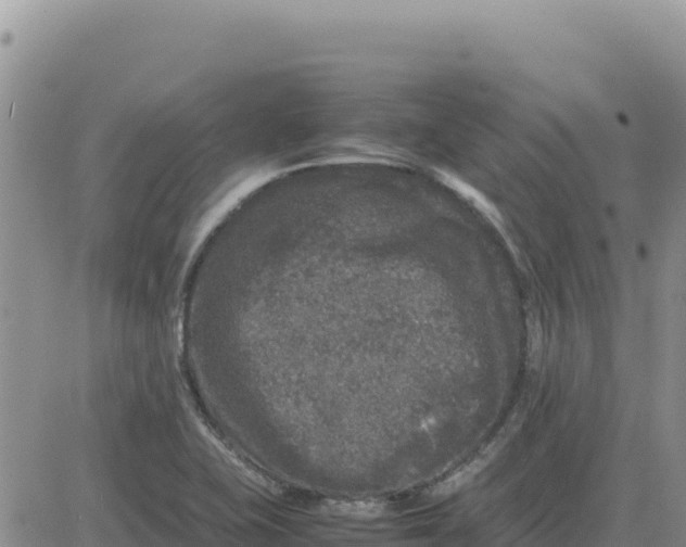 X0000080681415200612301413