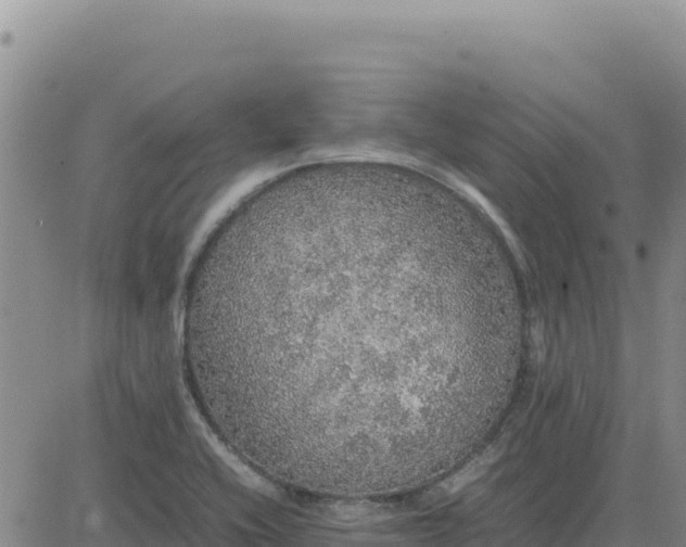 X0000080681416200612301413