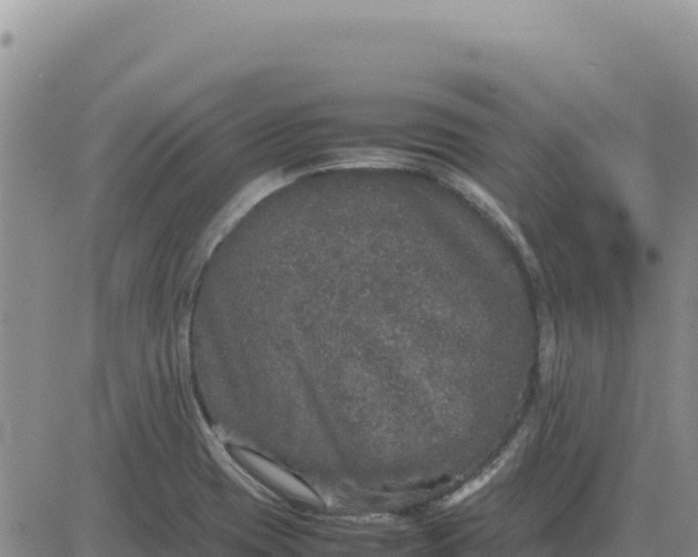 X0000080681417200612301413