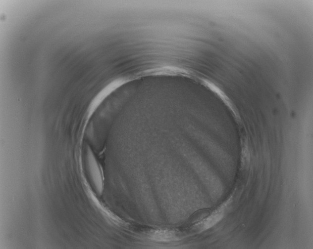 X0000080681418200612301413