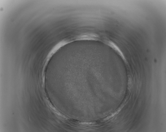 X0000080681419200612301413