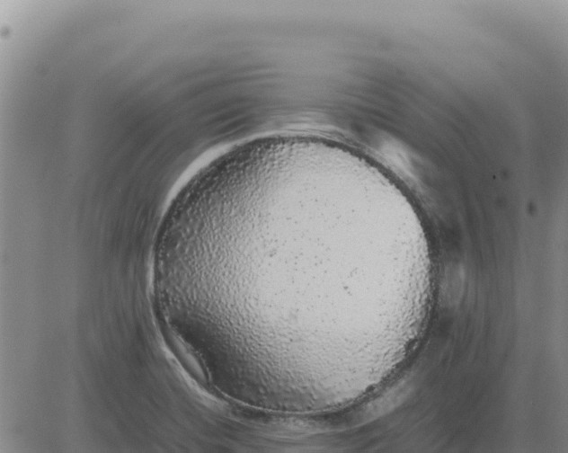 X0000080681420200612301413