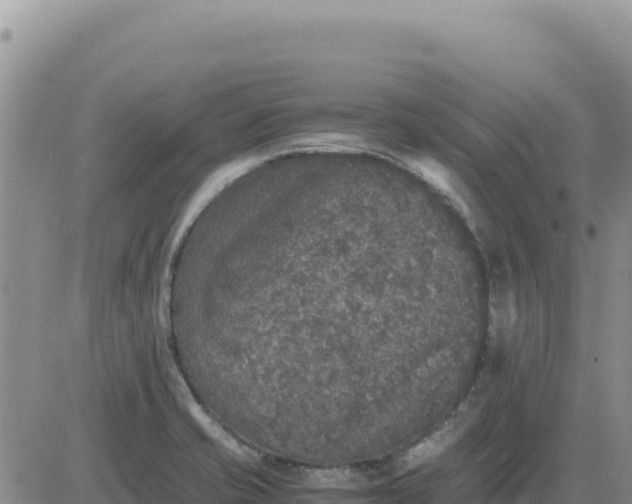 X0000080681421200612301413