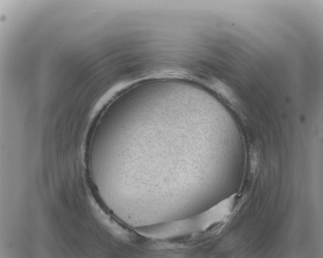 X0000080681422200612301413