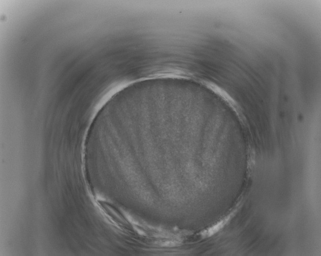 X0000080681423200612301413