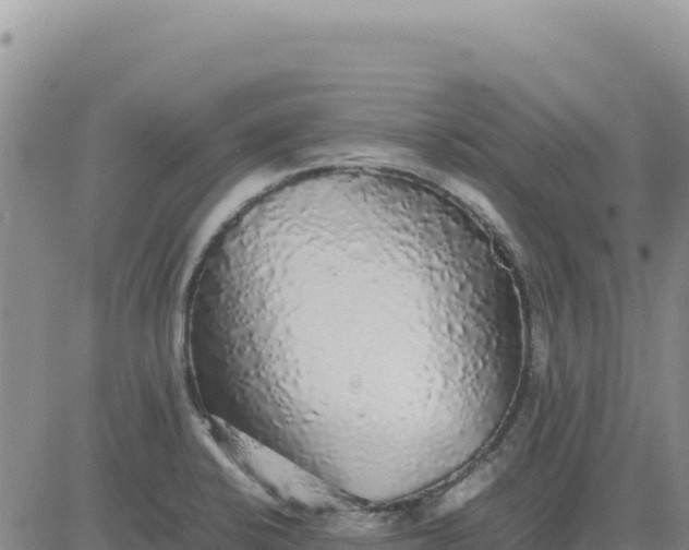 X0000080681424200612301413