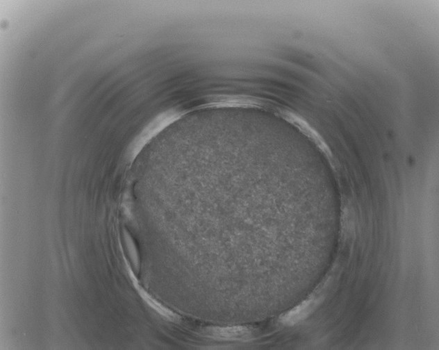 X0000080681425200612301413