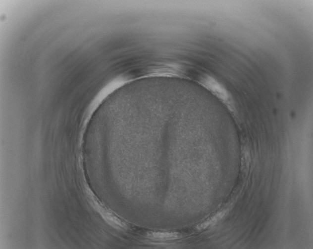 X0000080681427200612301414