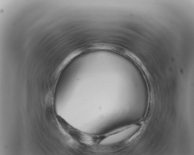 X0000080681433200612301414