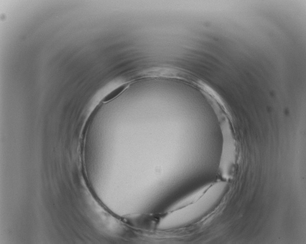 X0000080681434200612301414