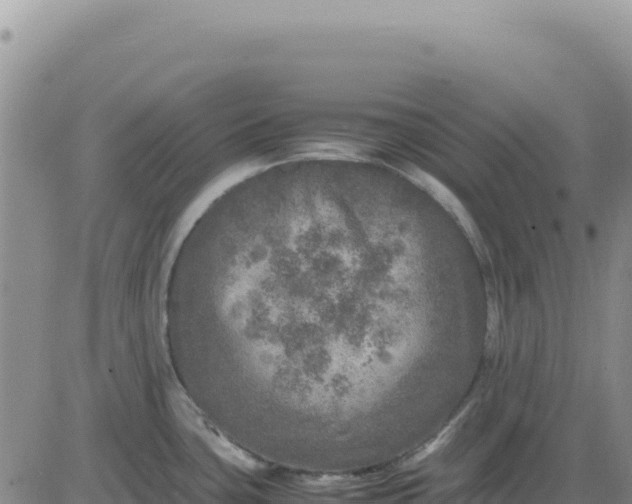 X0000080681435200612301414