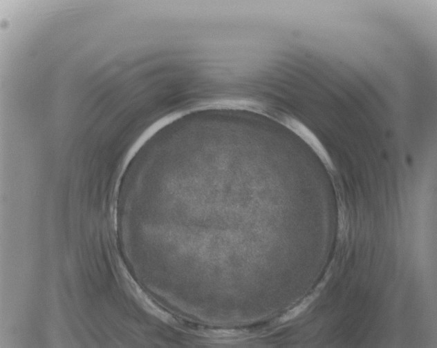 X0000080681436200612301414