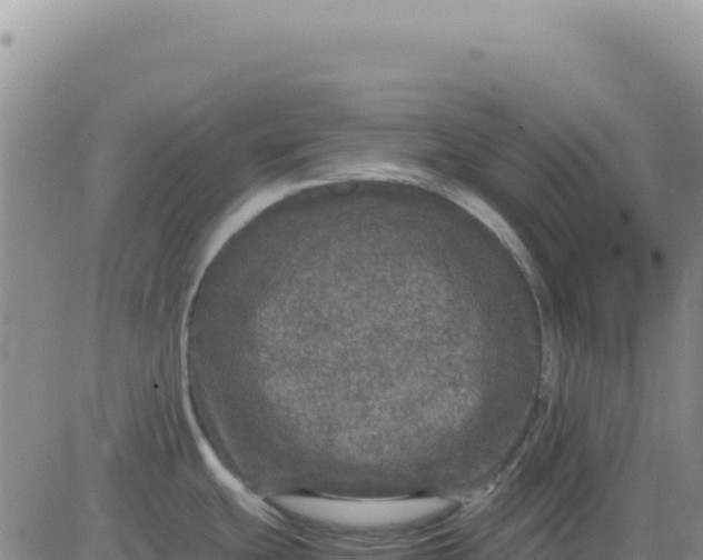 X0000080681439200612301414