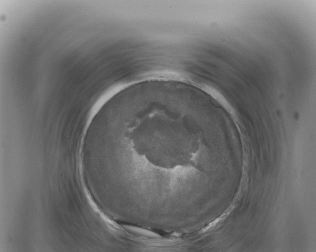 X0000080681440200612301414