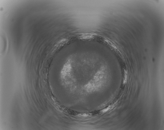 X0000080681441200612301413