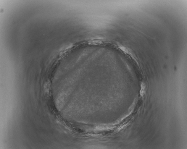 X0000080681445200612301413