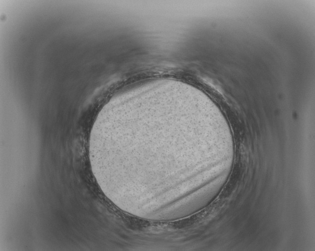 X0000080681447200612301413