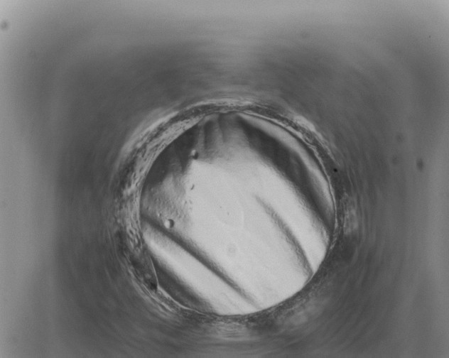 X0000080681448200612301413