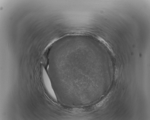 X0000080681449200612301413