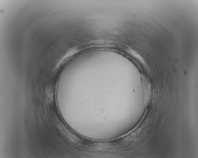 X0000080681451200612301413