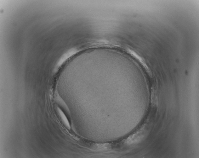 X0000080681453200612301413