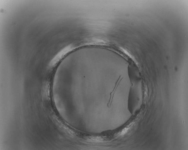 X0000080681455200612301413