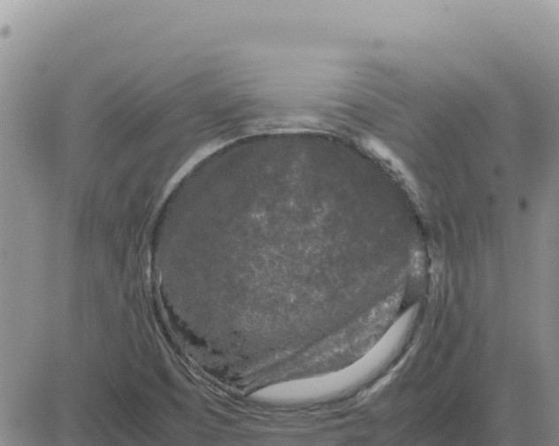 X0000080681457200612301413