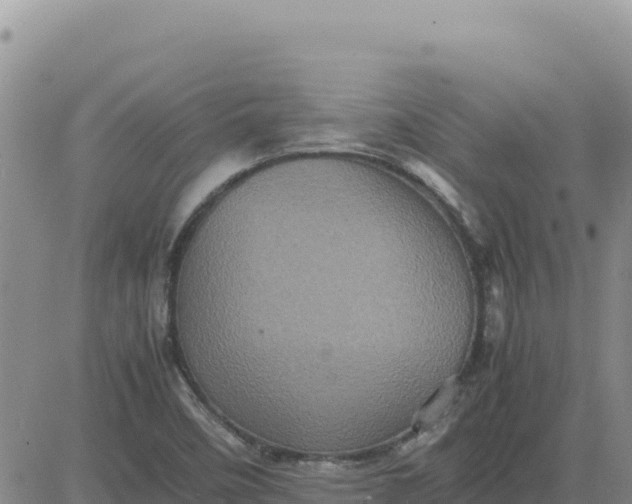 X0000080681458200612301413