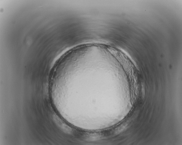 X0000080681460200612301413