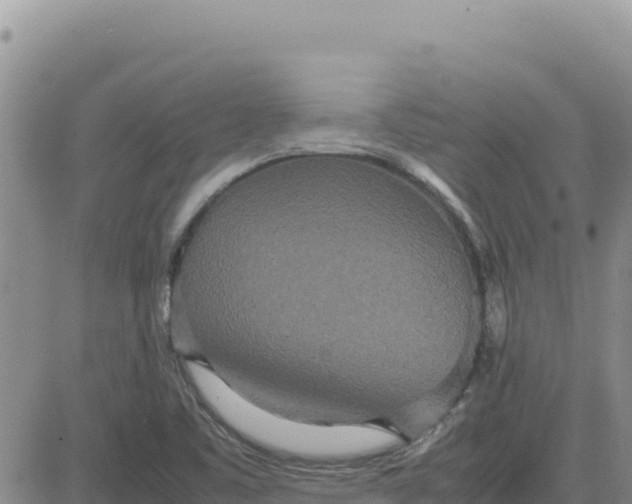 X0000080681461200612301413