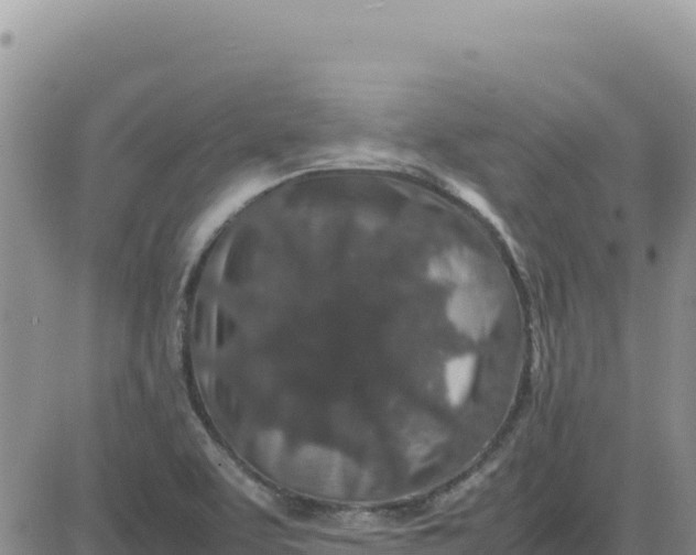 X0000080681463200612301413