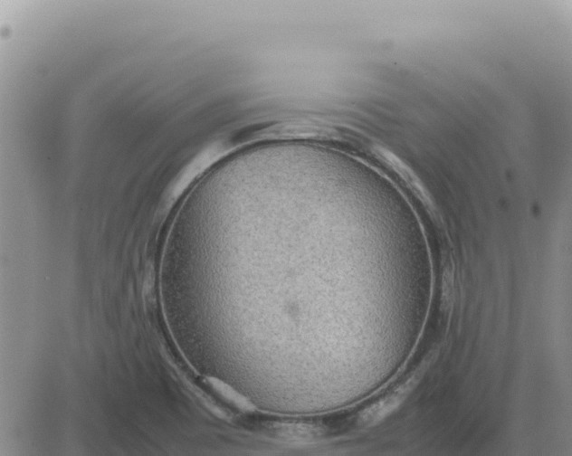 X0000080681465200612301413