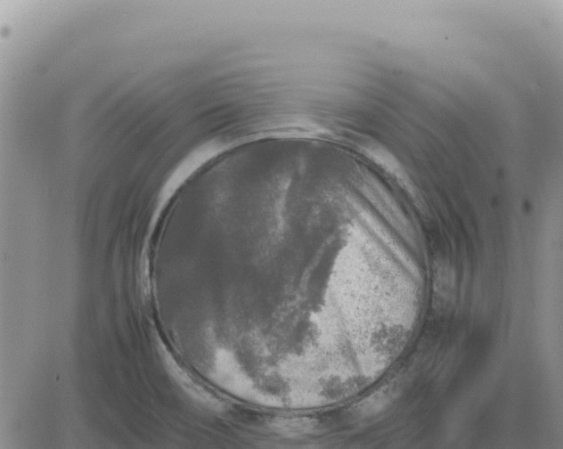 X0000080681466200612301413