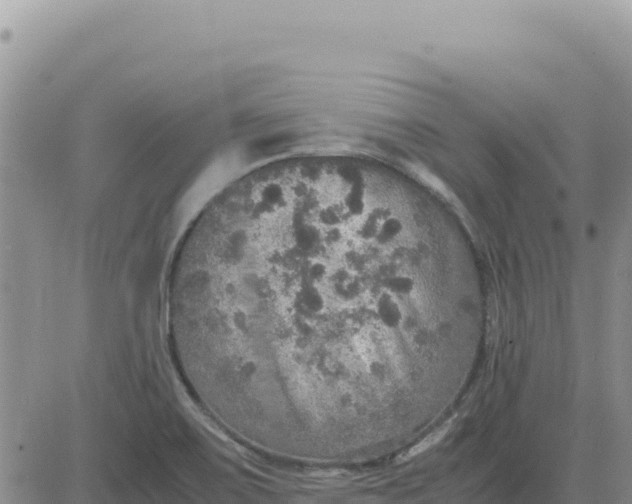 X0000080681467200612301413