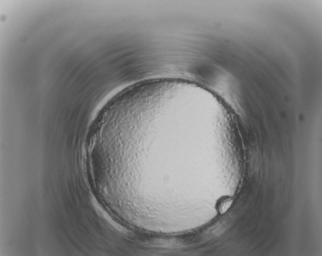 X0000080681468200612301413