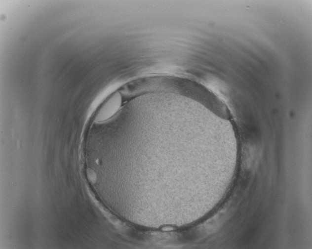 X0000080681469200612301413