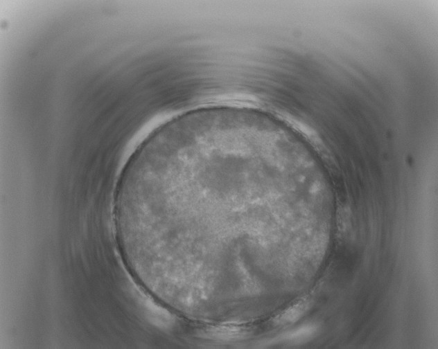 X0000080681470200612301412