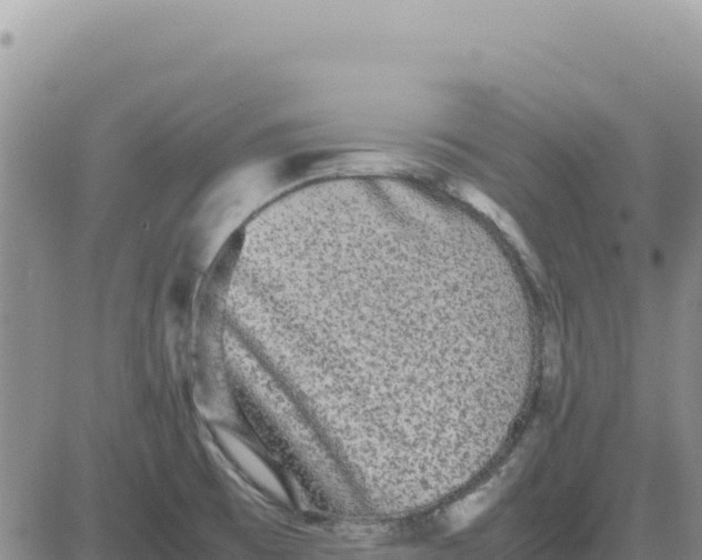 X0000080681473200612301412