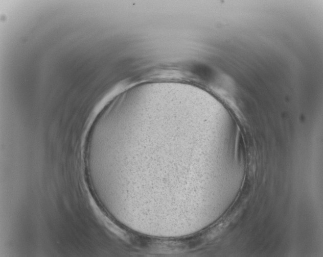 X0000080681475200612301412