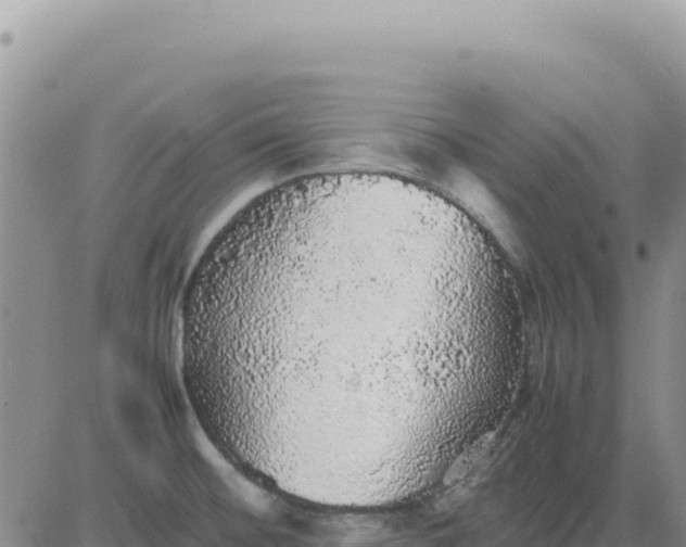 X0000080681476200612301412