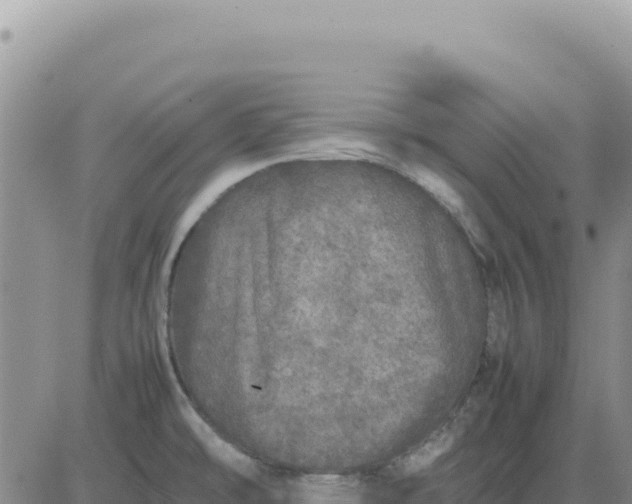 X0000080681478200612301412