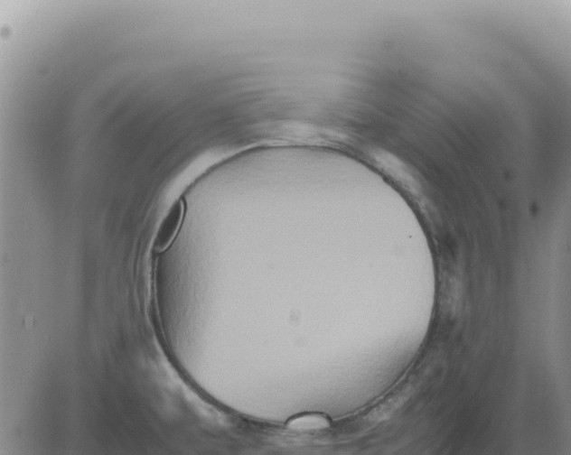 X0000080681479200612301412