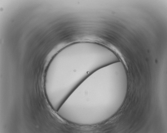 X0000080681480200612301412